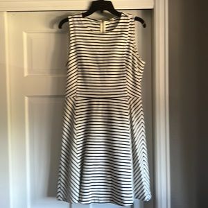 J Crew cotton spandex dress